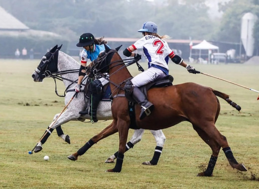 media.esperienza-equestre2