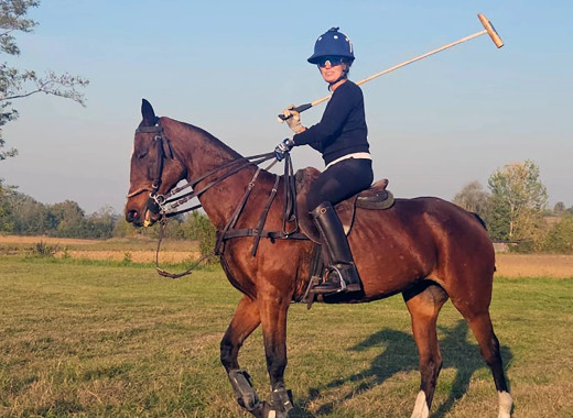 media.esperienza-equestre 1