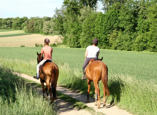 media.Passeggiate-cavallo